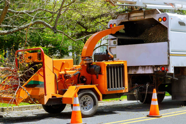 Best Utility Line Clearance  in Cadillac, MI